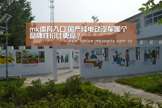 mk体育入口|国产纯电动汽车哪个品牌性价比更高?(图1) mk体育官网