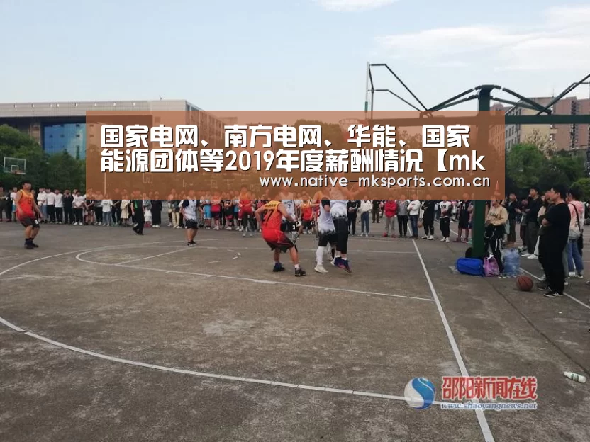 国家电网、南方电网、华能、国家能源团体等2019年度薪酬情况【mk体育入口】(图2) mk体育官网