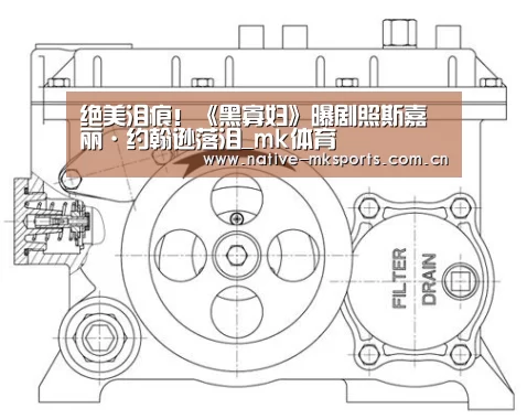 mk体育app